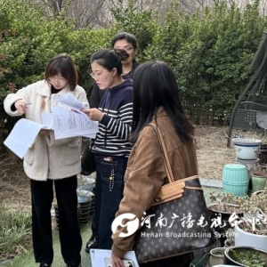 实地勘验+风险告知” 郑州金水法官巧解行政纠纷
