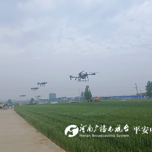 鹤壁市淇滨区：做好“一喷三防” 保障 稳产增收