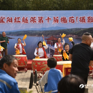 宜阳红赵保第十届槐花摄影节芬芳启幕