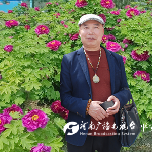 “牡丹寻梦 豫韵流芳”：洛阳市戏剧家协会 惠民演出点亮牡丹文化节