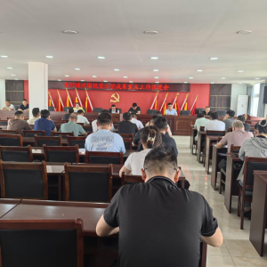驻马店市新蔡县棠村镇召开巩固脱贫攻坚成果重点工作推进会