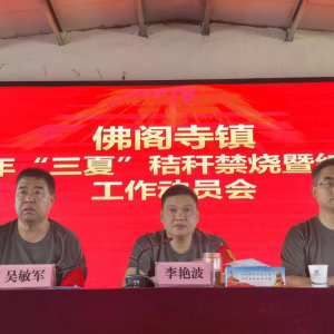 驻马店市新蔡县召开“三夏”秸秆禁烧和综合利用工作动员会