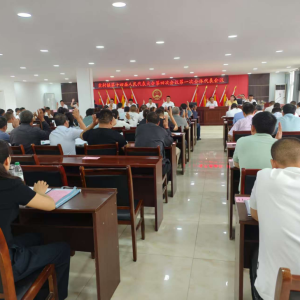 驻马店市新蔡县棠村镇第十四届人民代表大会第四次会议召开