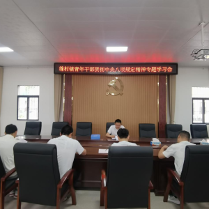 驻马店市新蔡县召开青年干部贯彻中央八项规定精神专题学习会