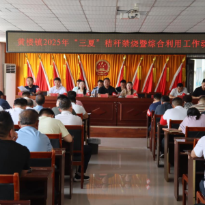 驻马店市新蔡县黄楼镇：吹响“三夏”冲锋号 筑牢秸秆禁烧防线