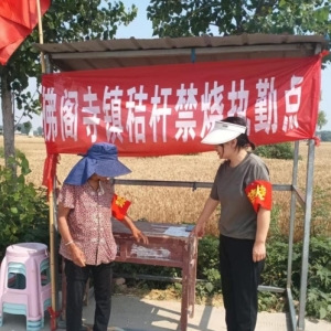 驻马店市新蔡县佛阁寺镇：强化监督执纪 助力“三夏”禁烧