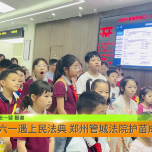 六一遇上民法典 郑州管城法院护苗成长