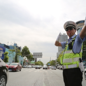 郑州交警发布2025年端午节安全出行提示