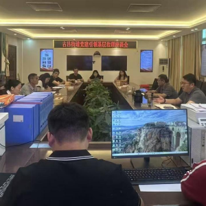 驻马店市新蔡县古吕街道召开党建引领基层高效能治理座谈会