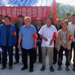 驻马店市新蔡县：人大代表积极履职 助力“三夏”秸秆禁烧