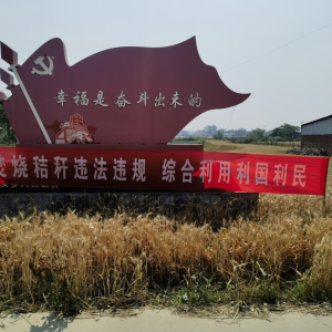 驻马店市新蔡县：坚守一线践使命 织密“双防”安全网