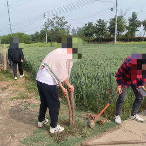 驻马店市新蔡县管委会司法所：鸡鹅围栏起风波 调解有方化干戈