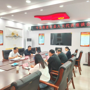 驻马店市新蔡县今是街道：发挥凝聚代表力量 扎实做好基层工作