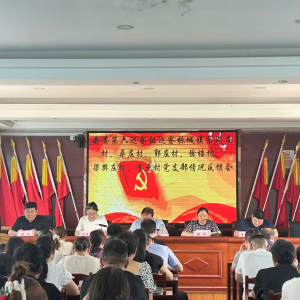驻马店市新蔡县委巡察栎城镇六村党支部情况反馈会召开