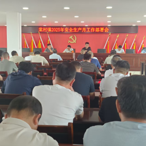 驻马店市新蔡县棠村镇召开2025年安全生产月工作部署会