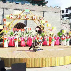 正阳县戏曲参赛队在《梨园春》驻马店复赛斩获佳绩展风采