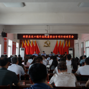 驻马店市新蔡县龙口镇召开外流贩毒整治专项行动动员会