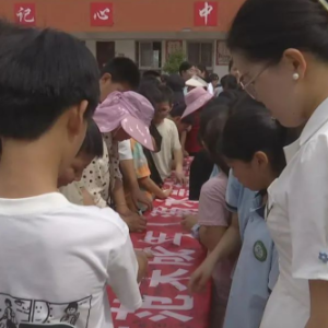 驻马店市正阳县雷寨镇中心小学举行防溺水宣讲教育活动