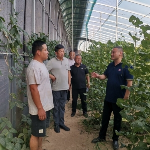 精准帮扶破难题  政企同心促振兴 濮阳县城南办携手河南万亩康助力瓜果产业提质增效
