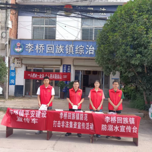 驻马店市新蔡县李桥回族镇开展防范打击非法集资宣传活动