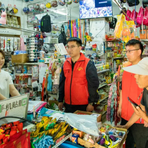 驻马店市正阳县清源街道：开展走访排查守护文化晴空