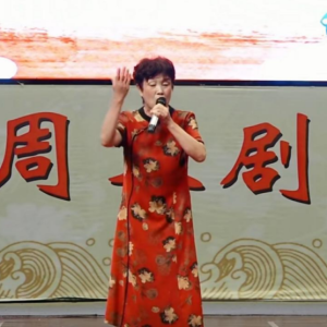 驻马店市新蔡县民间文艺家协会会员闪耀首届“红梅奖”戏曲大赛