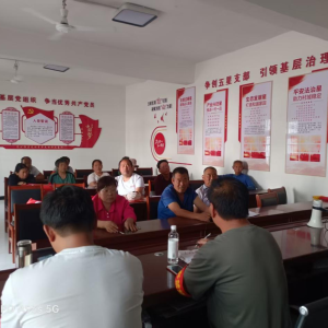 驻马店市新蔡县棠村镇：清风拂乡村 规矩立心间