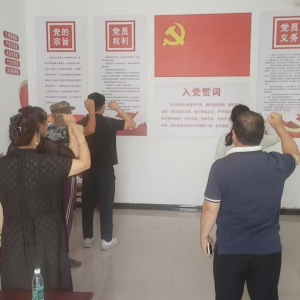 驻马店市新蔡县棠村镇徐庄村深入学习贯彻中央八项规定精神