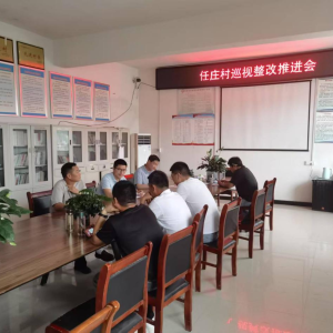 驻马店市新蔡县棠村镇：加强工作督导 巡察整改取得实效