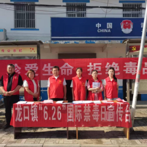 驻马店市新蔡县龙口镇：开展“6.26国际禁毒日”宣传活动