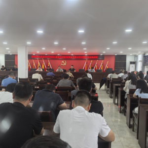 驻马店市新蔡县棠村镇召开专题会议