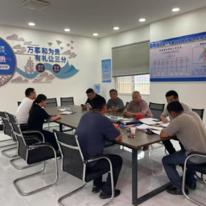 驻马店市新蔡县棠村镇：深入学习中央八项规定精神 推动驻村工作提质增效