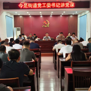 驻马店市新蔡县今是街道党工委开展“七一”专题党课活动