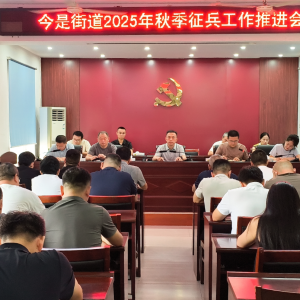 驻马店市新蔡县今是街道召开2025年秋季征兵工作推进会