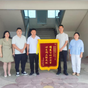 驻马店市正阳县寒冻镇：服务热线架起连心桥 组工力量彰显为民温度