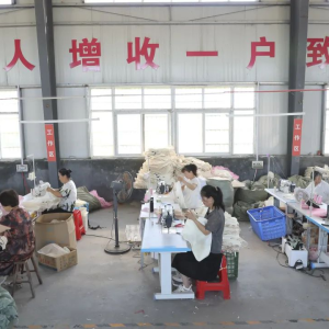 驻马店市正阳县大刘村：一块围裙“缝”出致富路
