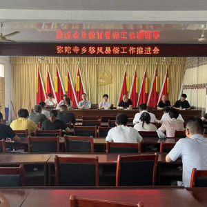 驻马店市新蔡县弥陀寺乡召开移风易俗工作推进会 绘就文明新风尚