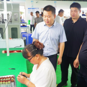 驻马店市新蔡县河坞乡：党建引领产业兴 乡亲们家门口圆就业梦
