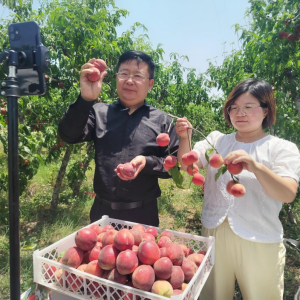 驻马店市正阳县：政协委员变主播 助农绘就好“丰”景