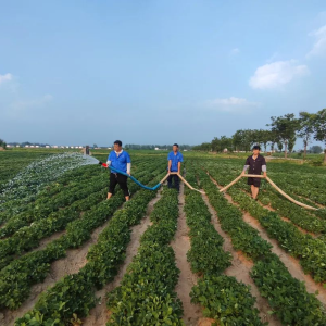 驻马店市正阳县：爱心企业有爱心 助力抗旱解民忧