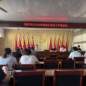 驻马店市新蔡县弥陀寺乡召开2025年度移风易俗工作推进会