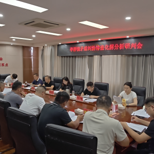 驻马店市新蔡县李桥回族镇矛盾纠纷排查化解分析研判会