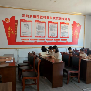 驻马店市新蔡县河坞乡：心有所“暑”不负所“托”