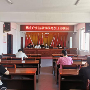 驻马店市新蔡县杨庄户乡召开抗旱保秋加压部署 全力以赴守护粮食安全