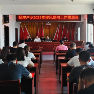 驻马店市新蔡县杨庄户乡召开2025年移风易俗工作推进会