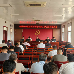 驻马店市新蔡县李桥回族镇严重精神障碍患者服务管理工作推进会