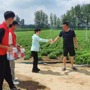 驻马店市新蔡县弥陀寺乡同心抗旱保秋粮 全力守护粮食安全