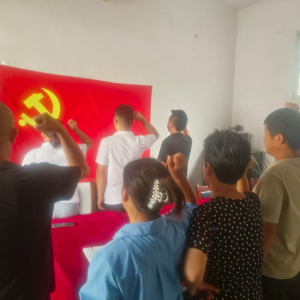驻马店市新蔡县棠村镇龙王庙村开展主题党日活动