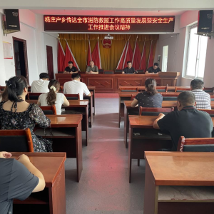 驻马店市新蔡县杨庄户乡组织召开专题会议