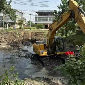 驻马店市新蔡县棠村镇：抗旱治污两相宜 沟塘清理见实效